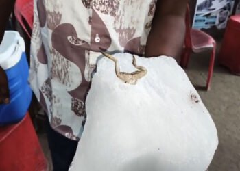 बर्फ बना खतरा: जूस सेंटर में मेंढक मिलने से मचा हड़कंप