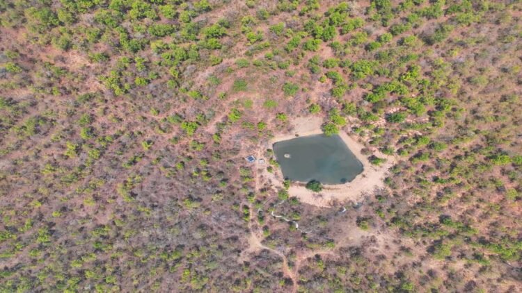 उदंती-सीतानदी टाइगर रिजर्व में अनोखी पहल: फायर-वॉटर वॉचर्स से मानव-वन्यजीव संघर्ष पर लगाम