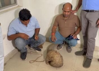 पैंगोलिन तस्करी का बड़ा खुलासा: 50 करोड़ के सौदे से पहले दो तस्कर गिरफ्तार