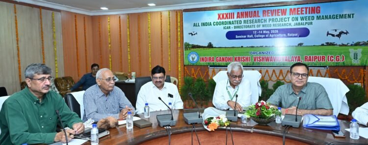 फसलों को खरपतवार से होने वाले नुकसान को नियंत्रित करने के लिए कृषि वैज्ञानिकों ने बनाई रणनीति