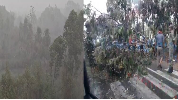 रायपुर समेत कई जिलों में झमाझम बारिश, तापमान में गिरावट