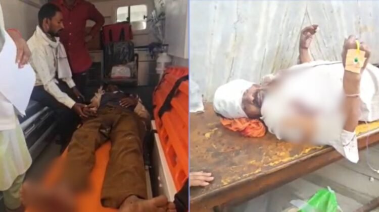 तेंदूपत्ता तोड़ने गए थे, भालुओं ने घेरा: गरियाबंद में 2 ग्रामीण गंभीर, रायपुर रेफर