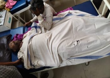 पेड़ कटाई के दौरान करंट का कहर: खैरागढ़ में ठेका कर्मी की मौत