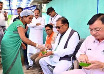 लखपति दीदी मंजू की संघर्षगाथा बनी आत्मनिर्भरता की प्रेरक मिसाल, मुख्यमंत्री साय ने लेमरू में मंजू बहन के स्टॉल पर चखा गुपचुप, आत्मीय संवाद में जानी सफलता की कहानी