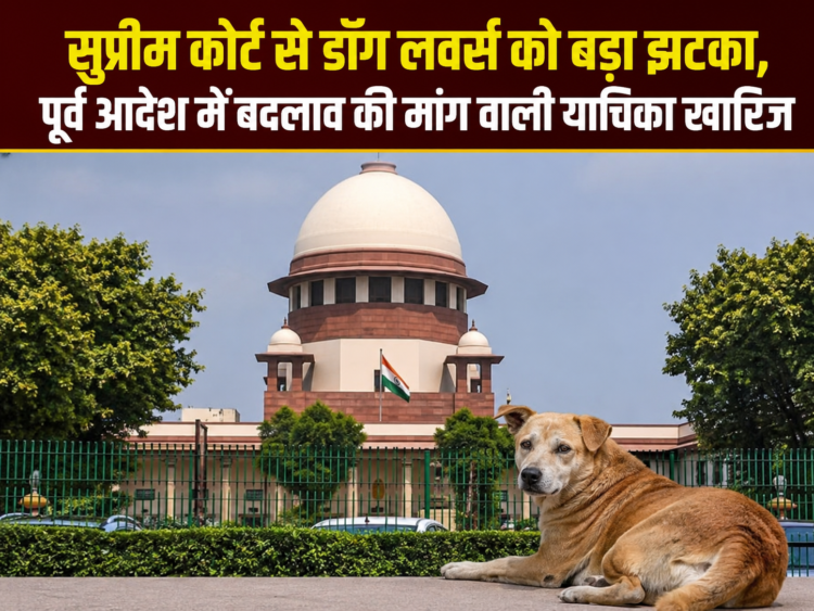 सुप्रीम कोर्ट से डॉग लवर्स को बड़ा झटका, पूर्व आदेश में बदलाव की मांग वाली याचिका खारिज