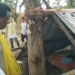 आदिवासी परिवारों के घर तोड़े जाने पर भड़के जनक राम ध्रुव, कलेक्टर को सौंपा ज्ञापन