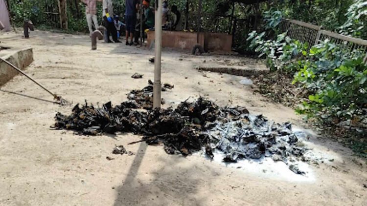 नौतपा की तपिश बनी जानलेवा, दल्लीराजहरा में रोज मर रहे सैकड़ों चमगादड़
