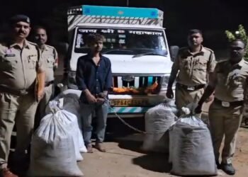 गरियाबंद में 65 लाख का गांजा जब्त, सब्जी के नीचे छिपाकर यूपी ले जा रहा था तस्कर