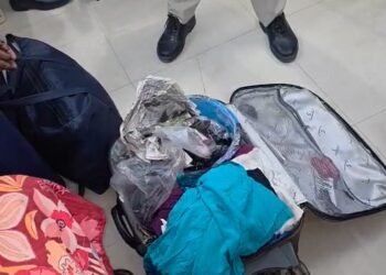 बिलासपुर स्टेशन पर 10 किलो गौमांस के साथ दो महिलाएं पकड़ी गईं