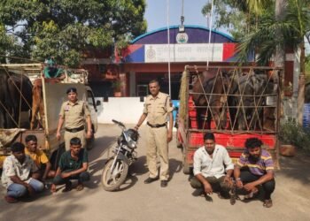 कुछ ही घंटों में सुलझा मवेशी चोरी केस, आरोपियों को भेजा गया जेल