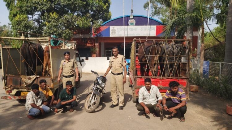 कुछ ही घंटों में सुलझा मवेशी चोरी केस, आरोपियों को भेजा गया जेल
