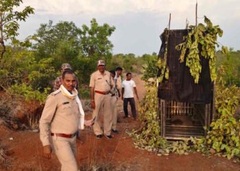 गरियाबंद में तेंदुए का आतंक बरकरार, 5 दिन से वन विभाग को दे रहा चकमा
