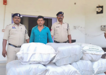 आम के ट्रे में छिपा करोड़ों का गांजा: जशपुर पुलिस की बड़ी कार्रवाई, तस्कर गिरफ्तार