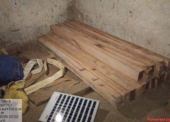 मरवाही में वन विभाग की बड़ी कार्रवाई: अवैध साल लकड़ी जब्त, दो हिरासत में