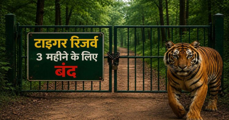 मानसून ब्रेक: छत्तीसगढ़ के सभी टाइगर रिजर्व और जंगल सफारी 1 अक्टूबर तक बंद