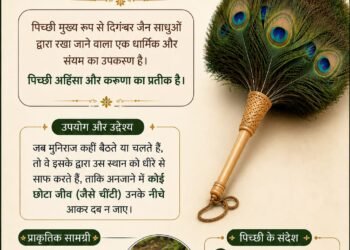 पिच्छी बनाने के लिए उन्हीं मोर के पंखों का उपयोग किया जाता है, जिन्हें मोर स्वतः (प्राकृतिक रूप से) छोड़ देते हैं