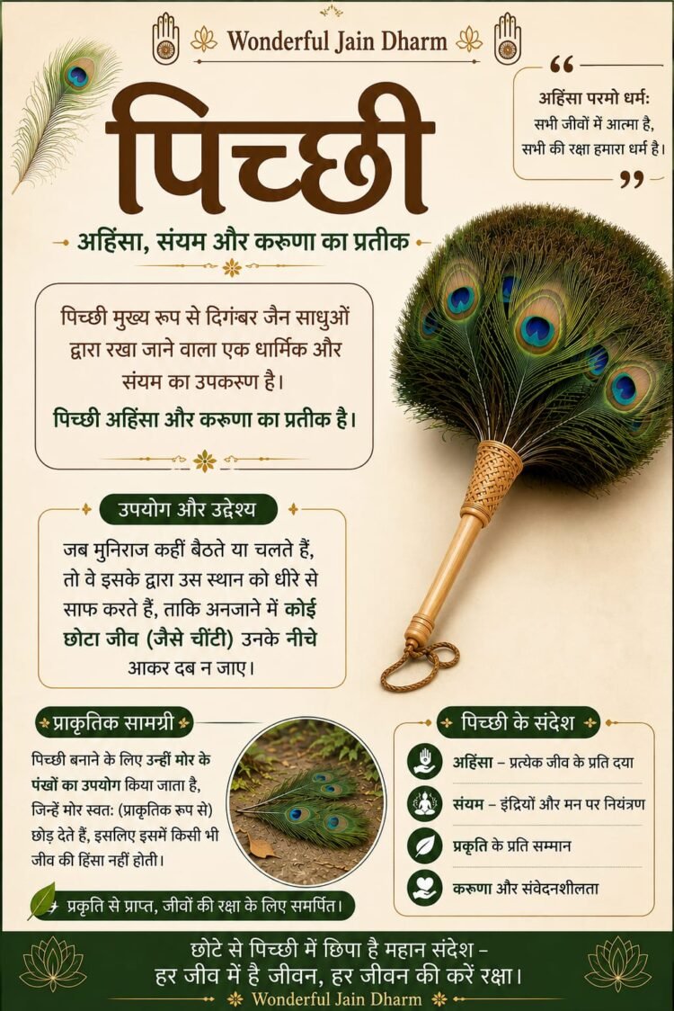 पिच्छी बनाने के लिए उन्हीं मोर के पंखों का उपयोग किया जाता है, जिन्हें मोर स्वतः (प्राकृतिक रूप से) छोड़ देते हैं