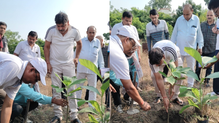 ‘प्रकृति बचाना हम सबकी जिम्मेदारी’, विश्व पर्यावरण दिवस पर DRM दयानंद का संदेश
