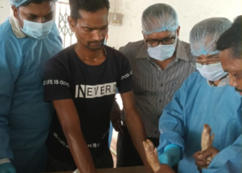 अंबिकापुर में अफ्रीकन स्वाइन फीवर वैक्सीन का ट्रायल, भोपाल से पहुंची वैज्ञानिकों की टीम