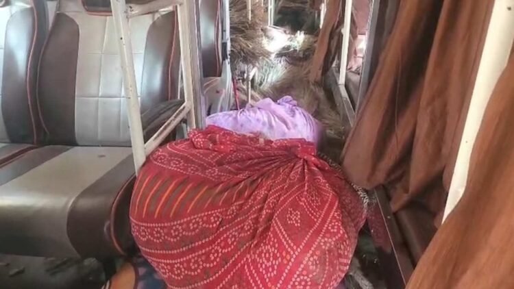 तस्करों की नई तरकीब फेल, झाड़ू के बीच छिपाकर ले जा रहे थे ‘हरा सोना’