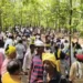 पाटेश्वर धाम में शांतिपूर्ण संपन्न हुई देव जातरा, हजारों श्रद्धालुओं ने किया दर्शन-पूजन
