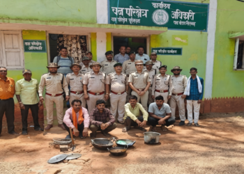 खैरागढ़ में वन विभाग की बड़ी कार्रवाई, जंगली सूअर के शिकार का खुलासा