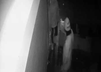 CCTV में कैद हुई चोरी की वारदात, ताला तोड़कर बक्सा ले भागे चोर