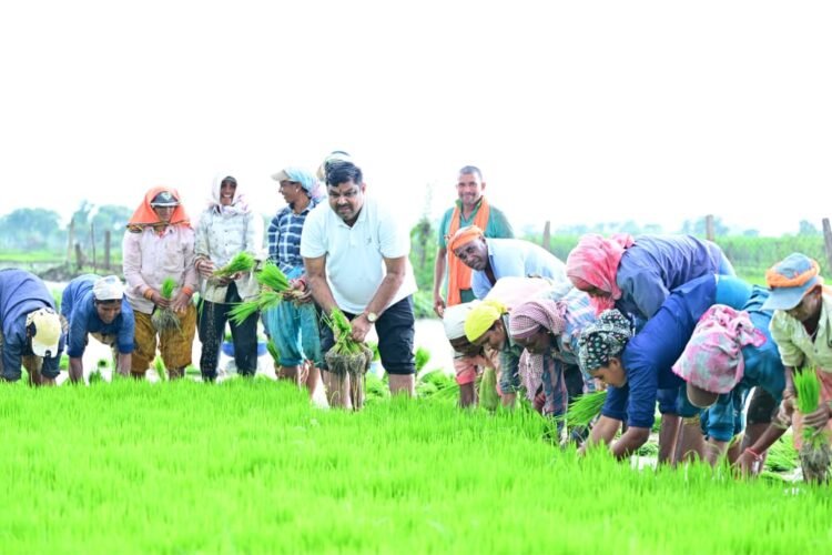 कृषि कार्यों में शामिल हुए शिक्षा मंत्री गजेन्द्र यादव, स्वयं ट्रैक्टर चलाकर धान रोपाई की तैयारियों का किया शुभारंभ