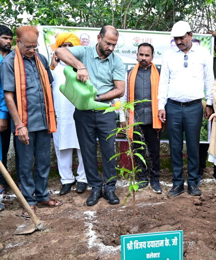 मुख्यमंत्री साय के नेतृत्व में ‘एक पेड़ मां के नाम 3.0’ अभियान को मिल रहा जन-जन का साथ