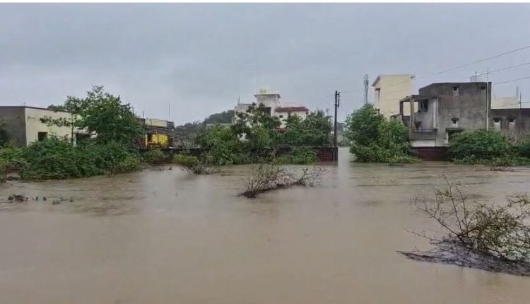 बिलासपुर में बारिश का कहर, कई कॉलोनियां जलमग्न, घर बने टापू