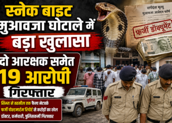 स्नेक बाइट मुआवजा घोटाले में बड़ा खुलासा, दो आरक्षक समेत 19 आरोपी गिरफ्तार