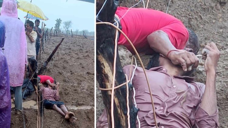 फसल बचाने के लिए लगाया करंट बना काल, पिता-पुत्र की दर्दनाक मौत