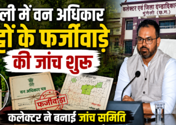 मुंगेली में वन अधिकार पट्टों के फर्जीवाड़े की जांच शुरू, कलेक्टर ने बनाई जांच समिति