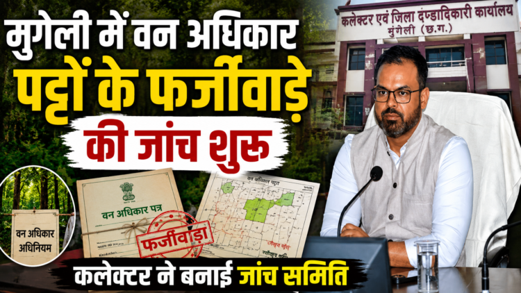 मुंगेली में वन अधिकार पट्टों के फर्जीवाड़े की जांच शुरू, कलेक्टर ने बनाई जांच समिति