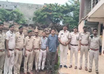 कोरबा-रायपुर में लकड़ी तस्करी का बड़ा खुलासा, 20 घन मीटर साल लकड़ी जब्त