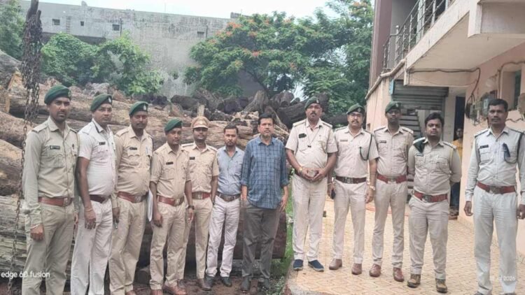 कोरबा-रायपुर में लकड़ी तस्करी का बड़ा खुलासा, 20 घन मीटर साल लकड़ी जब्त
