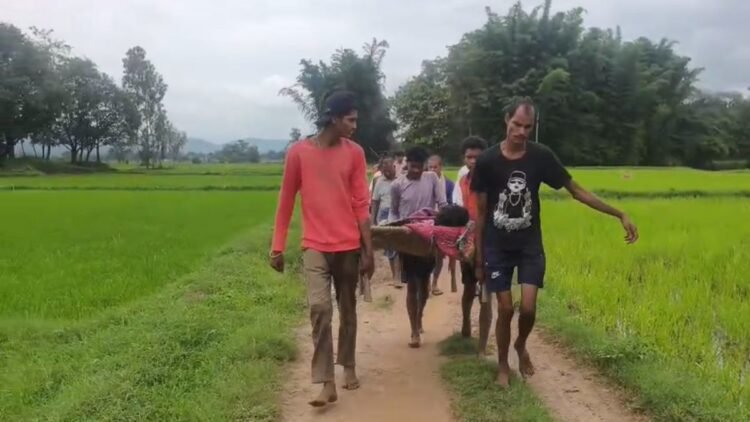 सरगुजा में सड़क नहीं, खाट पर ढोकर घायल को पहुंचाया एंबुलेंस तक