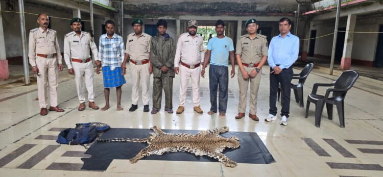 धौड़ाई में वन विभाग की बड़ी कार्रवाई : 3 आरोपियों के कब्जे से तेंदुए की खाल जब्त
