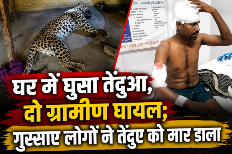 घर में घुसा तेंदुआ, दो ग्रामीण घायल; गुस्साए लोगों ने तेंदुए को मार डाला