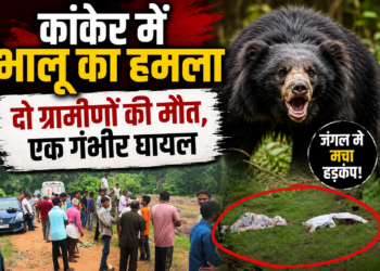 कांकेर में भालू का हमला, दो ग्रामीणों की मौत, एक गंभीर घायल