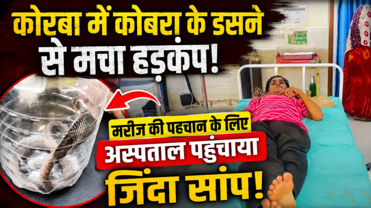 कोरबा में कोबरा के डसने से मचा हड़कंप, मरीज की पहचान के लिए अस्पताल पहुंचाया गया जिंदा सांप