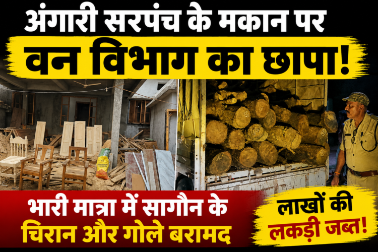 अंगारी सरपंच के मकान पर वन विभाग का छापा, भारी मात्रा में सागौन के चिरान और गोले बरामद