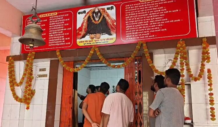तखतपुर के काली मंदिर में चोरी, दानपेटी से नगदी और सोने-चांदी के जेवर पार; CCTV में कैद हुए चोर