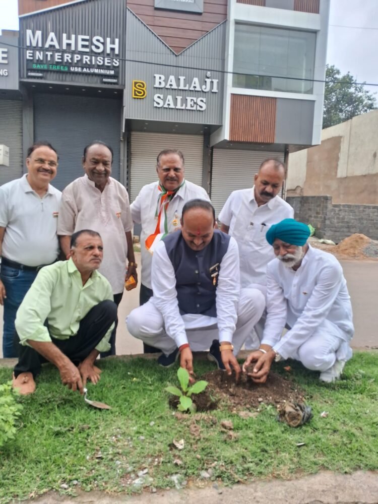 सभापति सूर्यकान्त राठौड़ ने नहरपारा में किया कदम्ब का पौधा रोपित
