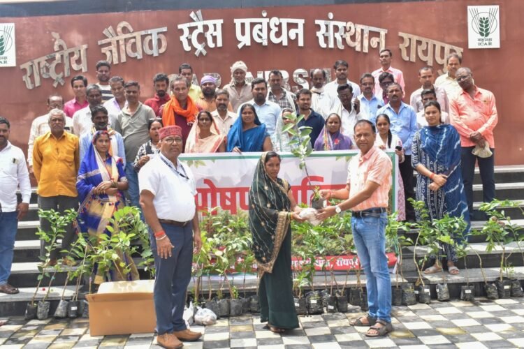 आईसीएआर-एनआईबीएसएम द्वारा ‘पोषण वाटिका’ पर प्रशिक्षण कार्यक्रम आयोजित,62 किसान हुए लाभान्वित, जिनमें 10 महिला किसान भी शामिल