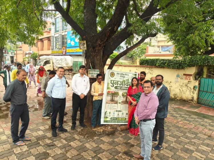 प्रोजेक्ट पुनर्जीवन: रायपुर में पेड़ों के चारों ओर से हटेंगे कंक्रीट घेरे और ट्री गार्ड