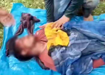 मशरूम लेने जंगल गया था युवक, शावकों के साथ घूम रही बाघिन ने किया हमला; मौके पर मौत