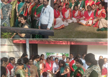 शासकीय शिक्षक शिक्षा महाविद्यालय में वृक्षारोपण एवं पर्यावरण जागरूकता कार्यक्रम आयोजित