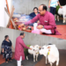 उप मुख्यमंत्री अरुण साव ने प्रदेशवासियों को दी हरेली की बधाई,गौमाता और कृषि औजारों की पूजा-अर्चना कर अच्छी फसल व खुशहाली का कामना की