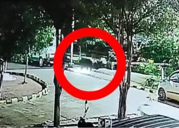 बालोद जिला अस्पताल में घुसा भालू, रात 1 बजे मची अफरा-तफरी; वीडियो आया सामने